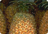 Ananas sciroppato