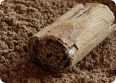 Cannella